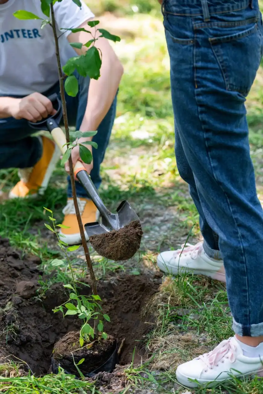 cropped-view-of-couple-planting-tree-with-shovel-e1617033310213