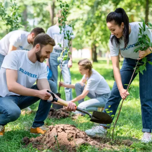 young-volunteers-planting-trees-in-green-park-toge